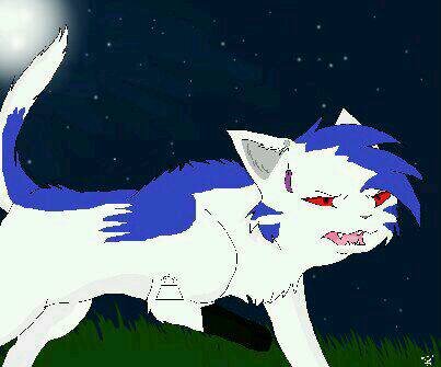 I'm Ashfur. Strong and athletic she cat. I am Dawnstar's daughter. Looking for a clan to shelter me and my fatherless kit, @Midnightofashes .