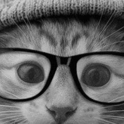 tolstechok's profile picture. Рассуждающее вслух, обо всем, животное, что вижу о том и говорю. В меру любознателен, циничен и зол. Читаю все, что плохо лежит, мало сплю...