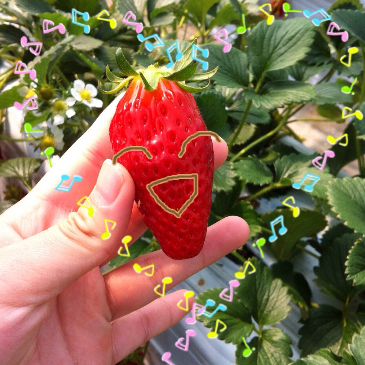 おんがくだいすき♡