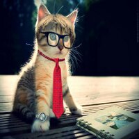 Catatan Pelajar (@notesstudent) 's Twitter Profile