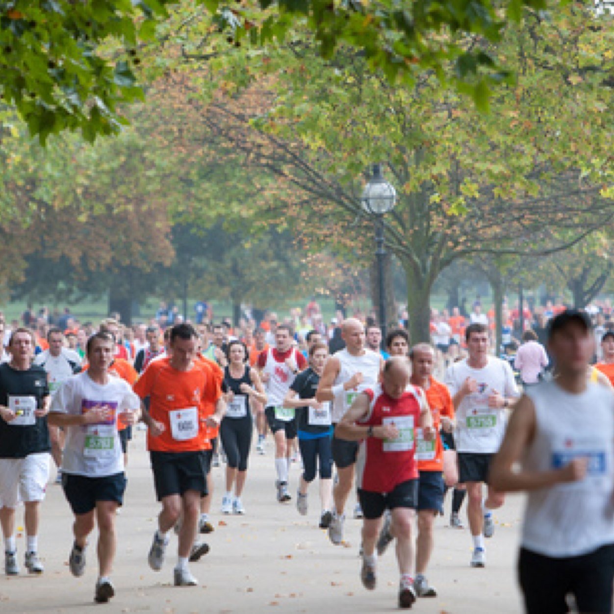 StudentRunOsslt's profile picture. 