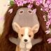 犬公方さんのプロフィール画像