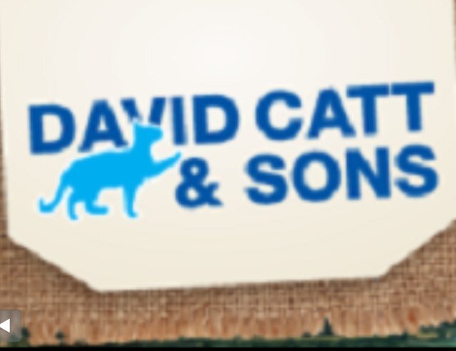 David Catt and sons
