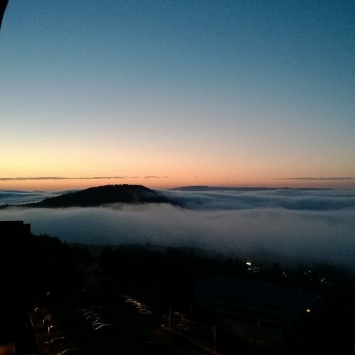 fatheone's profile picture. 