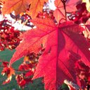 Rusty Powers - @RustyPowers2 - Twitter