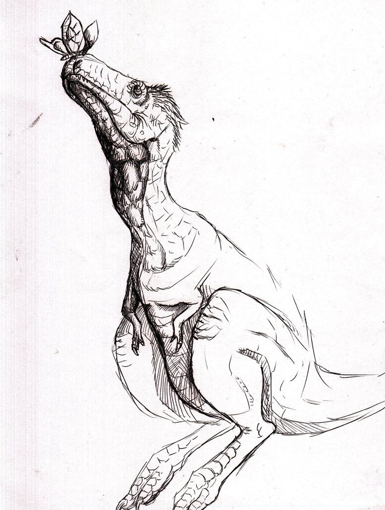 lepidaktryl's profile picture. 