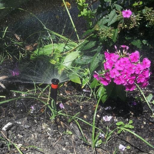 Owner of 1-2-3 Sprinx sprinkler irrigation and repairs