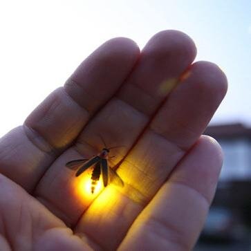 ilkjasfg's profile picture. نبذتي التعرفيه انكم تحطولي نبذه تعرفيه                     #