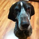 roger spriggs - @RogerSpriggs - Twitter