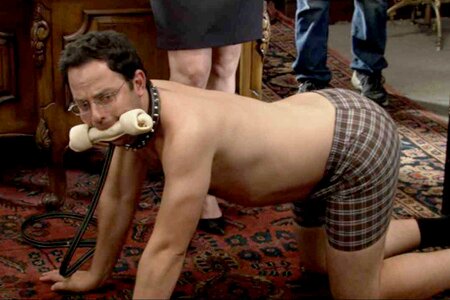 optimuslives1's profile picture. love lots of beautiful people inside and out. And toys. But mostly sex and porn. 18+ only