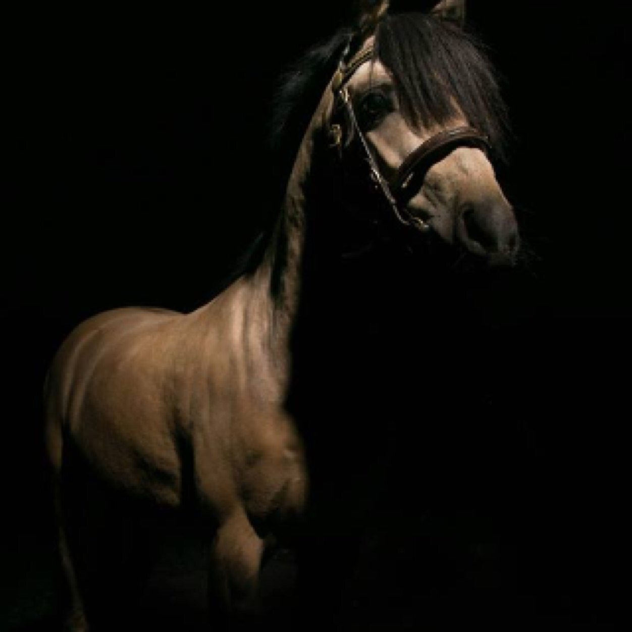 rachelcalvert7's profile picture. 