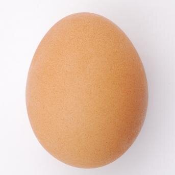 What the feck is a twitter?