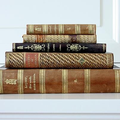 Litteraturtoget's profile picture. 