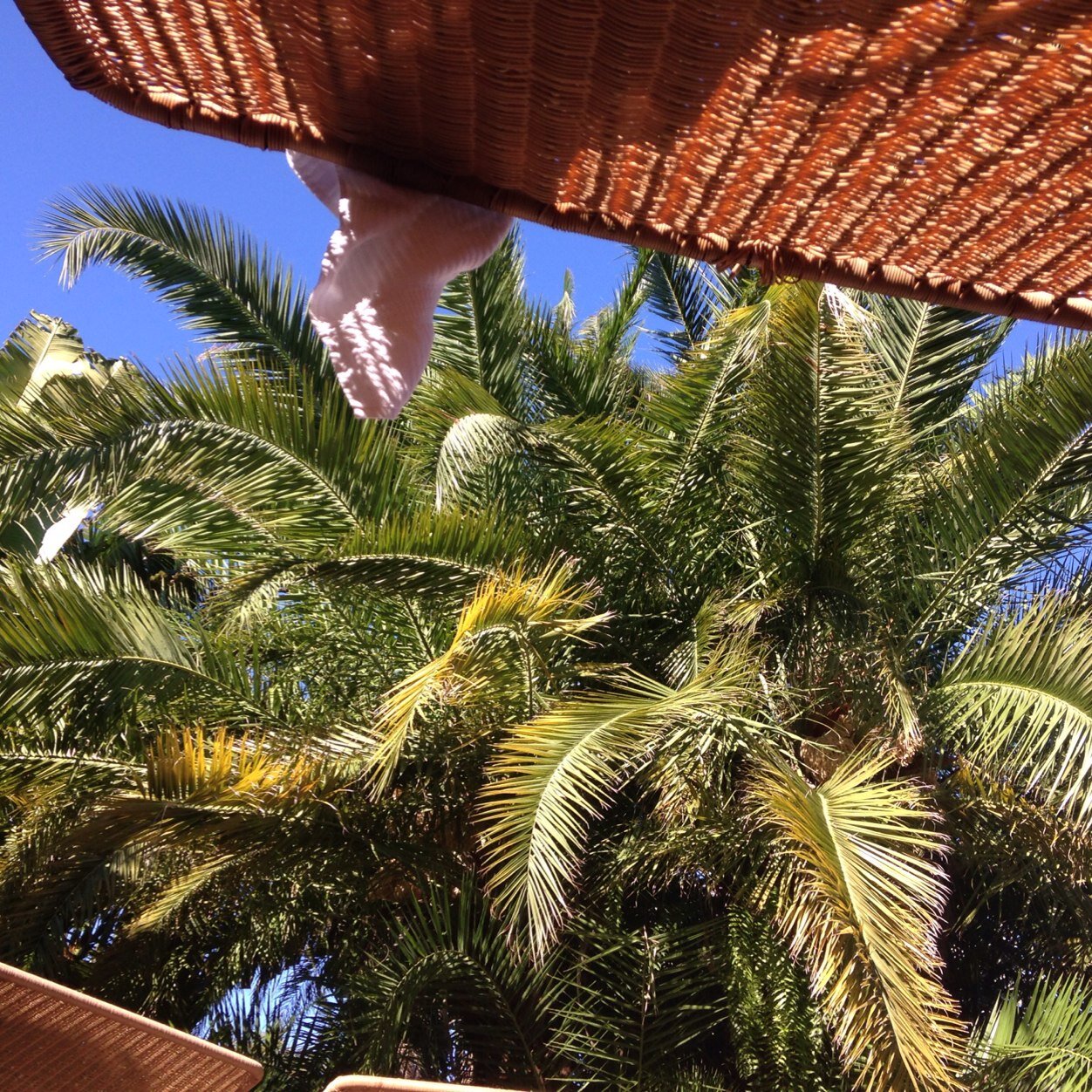 BakerCareybaker's profile picture. 