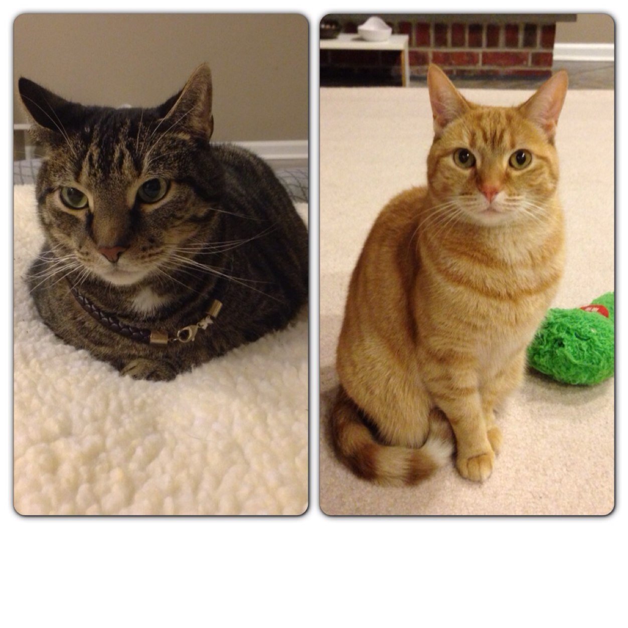 MavisRL's profile picture. 