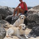 Beth Hatfield - @BethAHatfield - Twitter