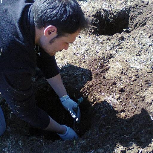 Esperto in Viticoltura ed Enologia
D.U. Scuola Enologia di Alba
Collaboro con Cantine di Barolo e Siciliane
Spec.produzione vini dell' Etna e Nero d'Avola