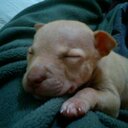 Marcelo Luis Cuello - @Maluc8 - Twitter