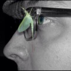 slafonta's profile picture. Digital Marketer, Beagle Lover,  Wisconsin Noob, Marketing Director @CapitolBank, Etc.