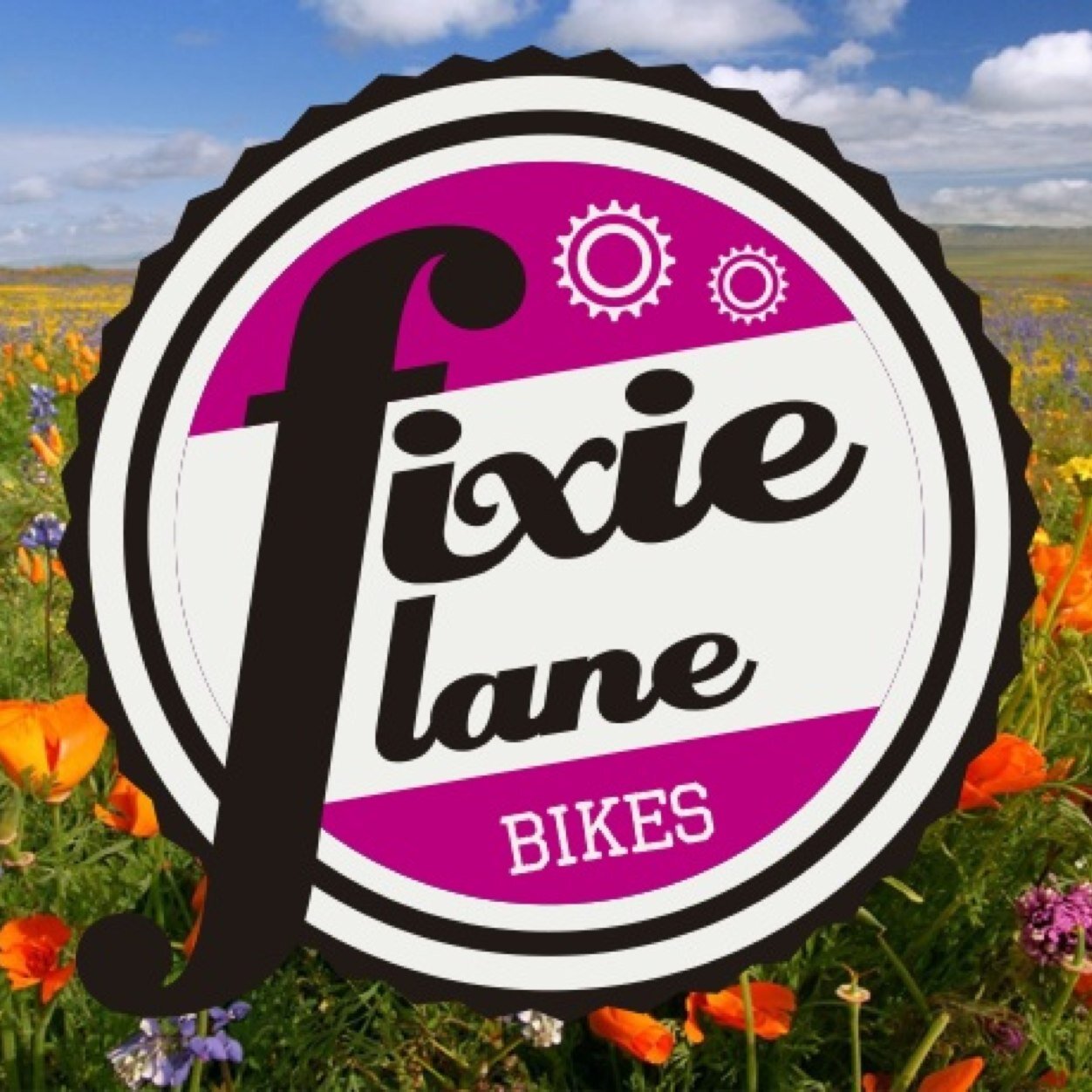 Tienda online de bicicletas fixie y single speed. Bicis, componentes y accesrios.