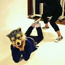 SORA@ガウラー (@11mwam_luv17) Twitter