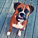 Chris Ashman - @itscashman - Twitter