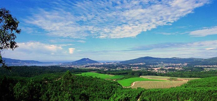 10K_O_ROSAL's profile picture. Carreira Popular de 10Km con motivo da Feira do Viño do Rosal (19 xullo 2015)
