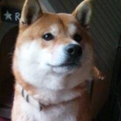 @aoba37のラジオ実況垢。「あ、安部礼二」をほぼ定期的に実況しております。