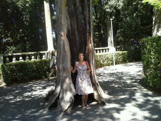 graziellacvd5's profile picture. 