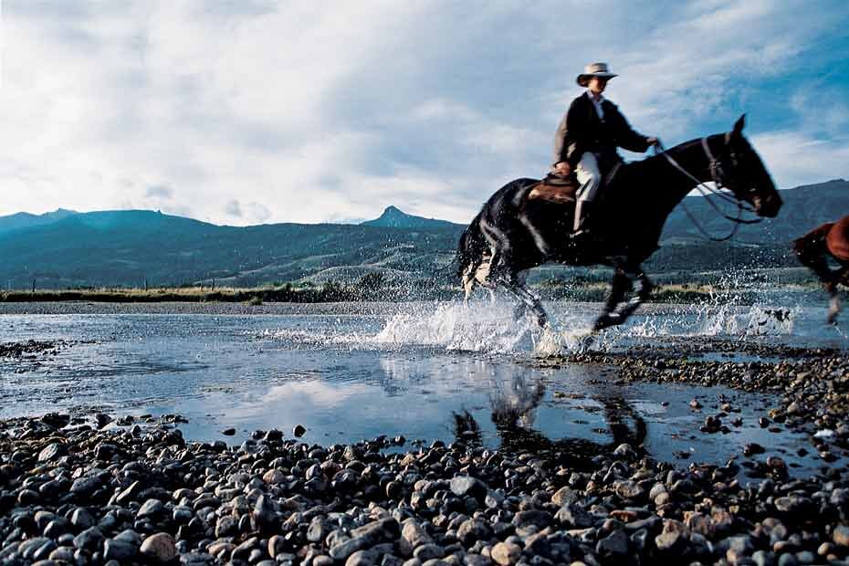 Wi_1984's profile picture. De cuántas preocupaciones nos desprendemos cuando decidimos dejar de ser algo para ser alguien.