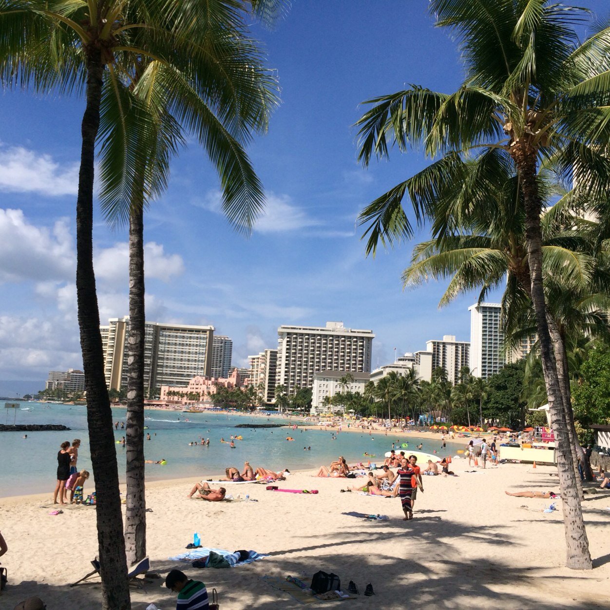 gksmf007's profile picture. 