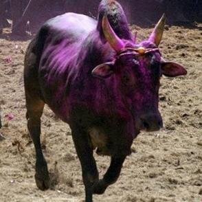 morattukkaala's profile picture. கெட்டப்பய
Adults contents. Strictly 18+