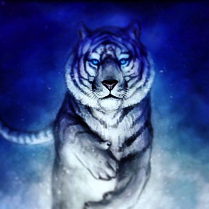 TuRutinaDiaria's profile picture. The Best Followbacker