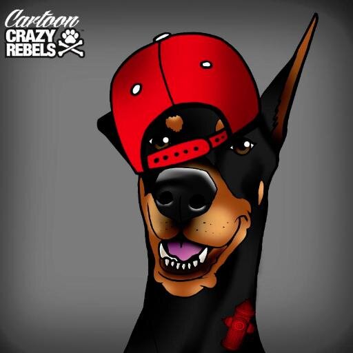 The Hydrant - Providing dogs with practical, functional, and high performance collars and accessories