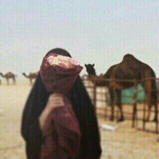 ا ن كان قلبك مآلقي من يدريه عيش ازمآن لوحدك وقوول* خيرهه