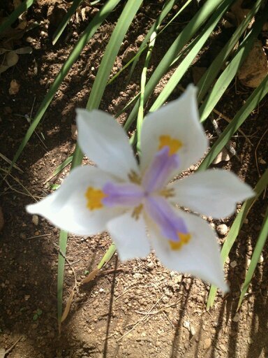 ExtremeScapes's profile picture. 