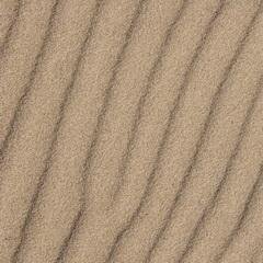 Un projecte per demostrar que les dunes poden conviure amb nosaltres!