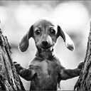 Alain Laforest - @AlainLaforest - Twitter