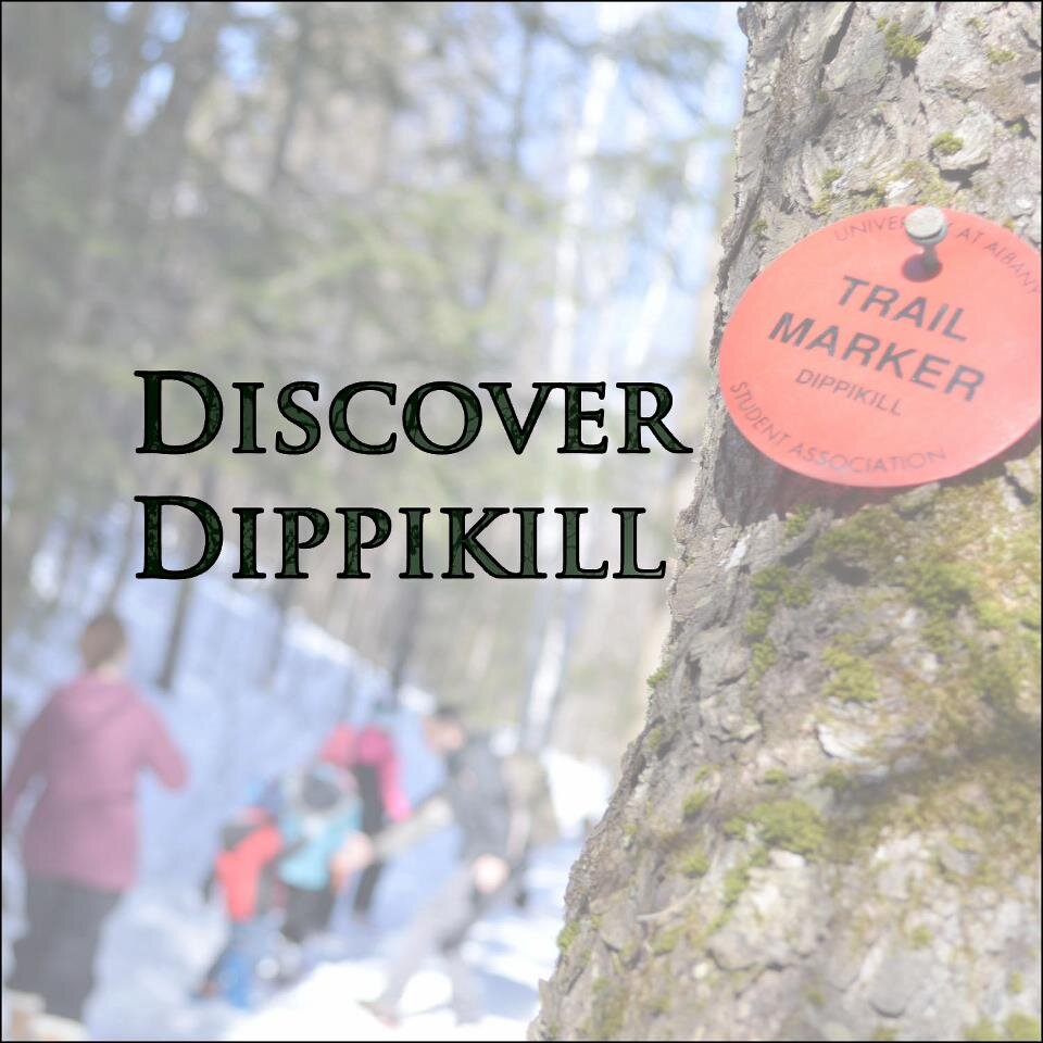 Dippikill Wilderness Retreat is a 850 acre facility owned by the Student Association at UAlbany. We are open for reservations to all UAlbany affiliates