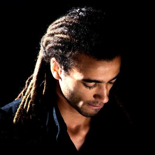 Artiste musicien (Auteur / Compositeur / Interprète)
