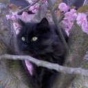 sherry dunham - @sherrydunham4 - Twitter