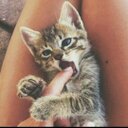 Nadia Ammar - @nadoosheammar - Twitter