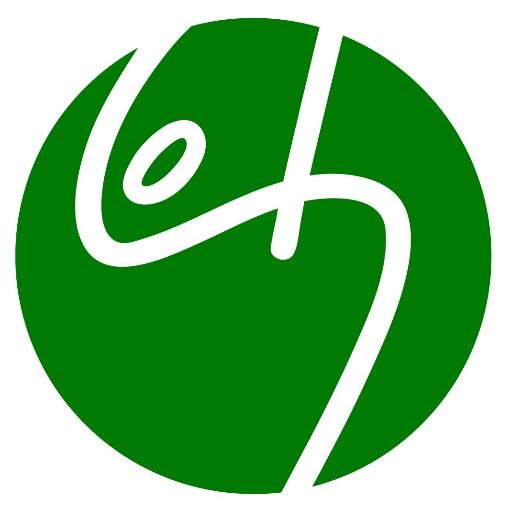 LOTHhoodies's profile picture. Fantasy Hoodies with a long Cloak hood