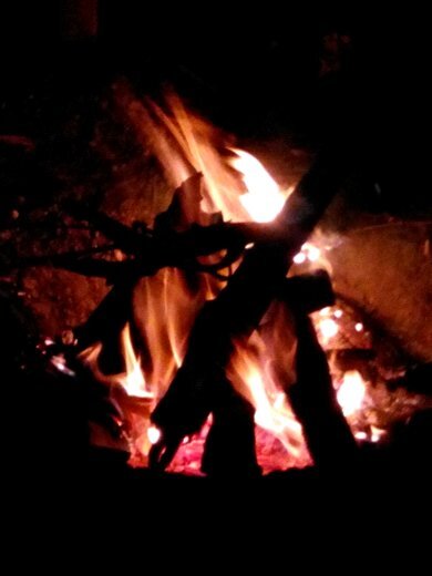 JANIBUSH7's profile picture. 