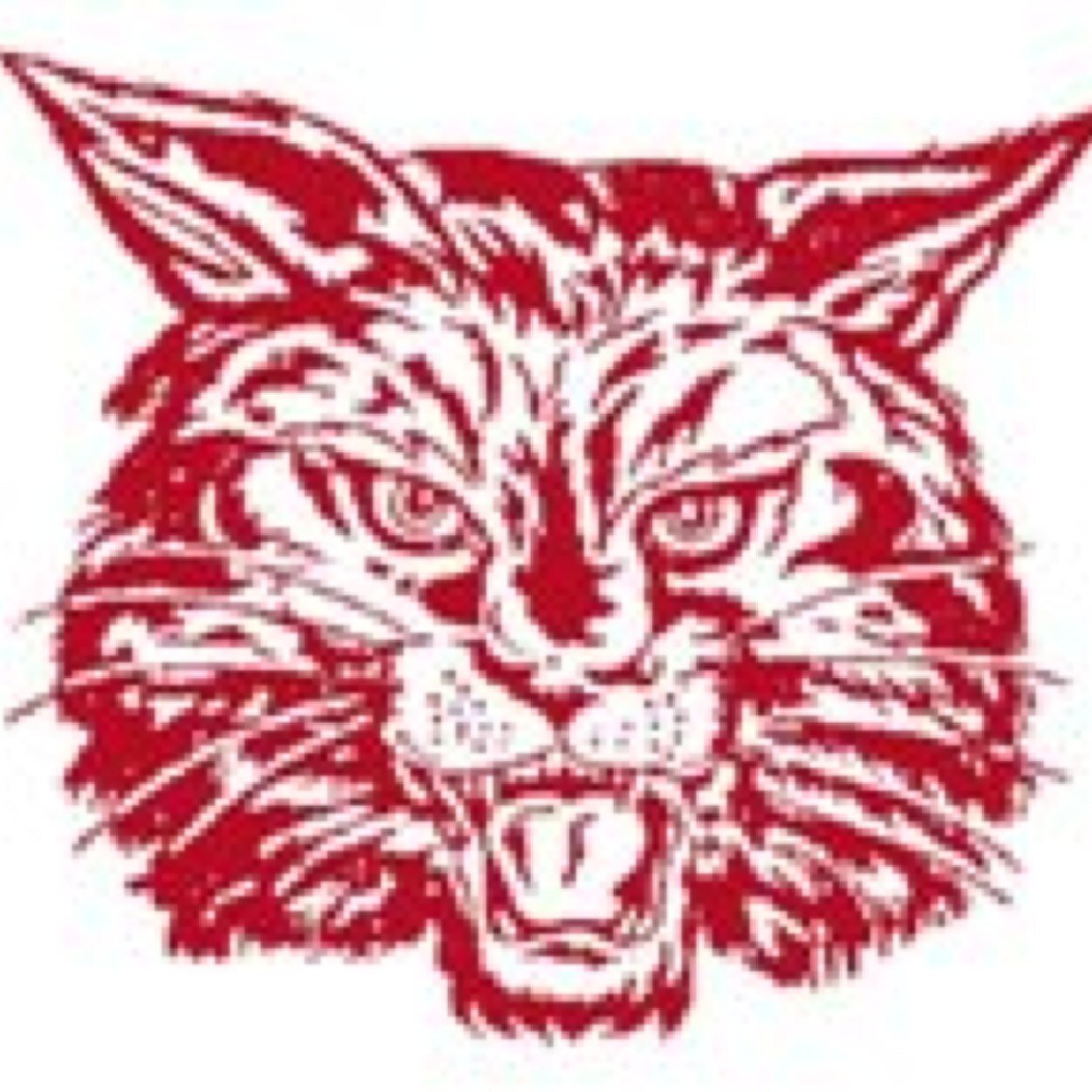 Newark High School Softball. GO CATS!