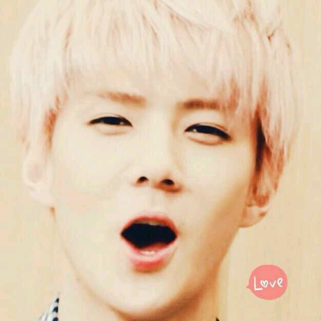 เป็นโซวอน อซฟ. เป็นแม่ยกฮุนฮาน ชานแบค ไคโด้ สมัครไว้เทรน รี ฟอล! มาฟอลเล่นฟอลกลับ @2p2sh_onlysehun ดีกว่าน้าา สัญญาจะไม่ปล่อย มือที่ไม่เคยจับ~