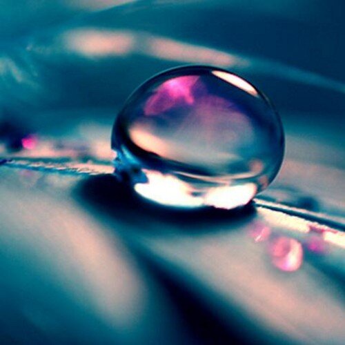 FoodJunkieee101's profile picture. Twitter.Instagram. Sam And Cat. P.S My love for people is even bigger than Nikki Minaj's ass. Beat that Justin Bieber. Ure love is pig ass s**t b****! F*** JB!