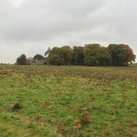 hank (@dmuvc) 's Twitter Profile