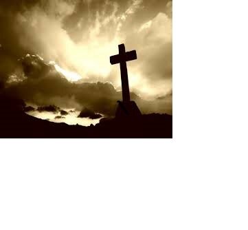 denisem81035375's profile picture. 