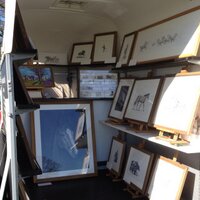 Jonny Sumner (@sumnerjonny) 's Twitter Profile